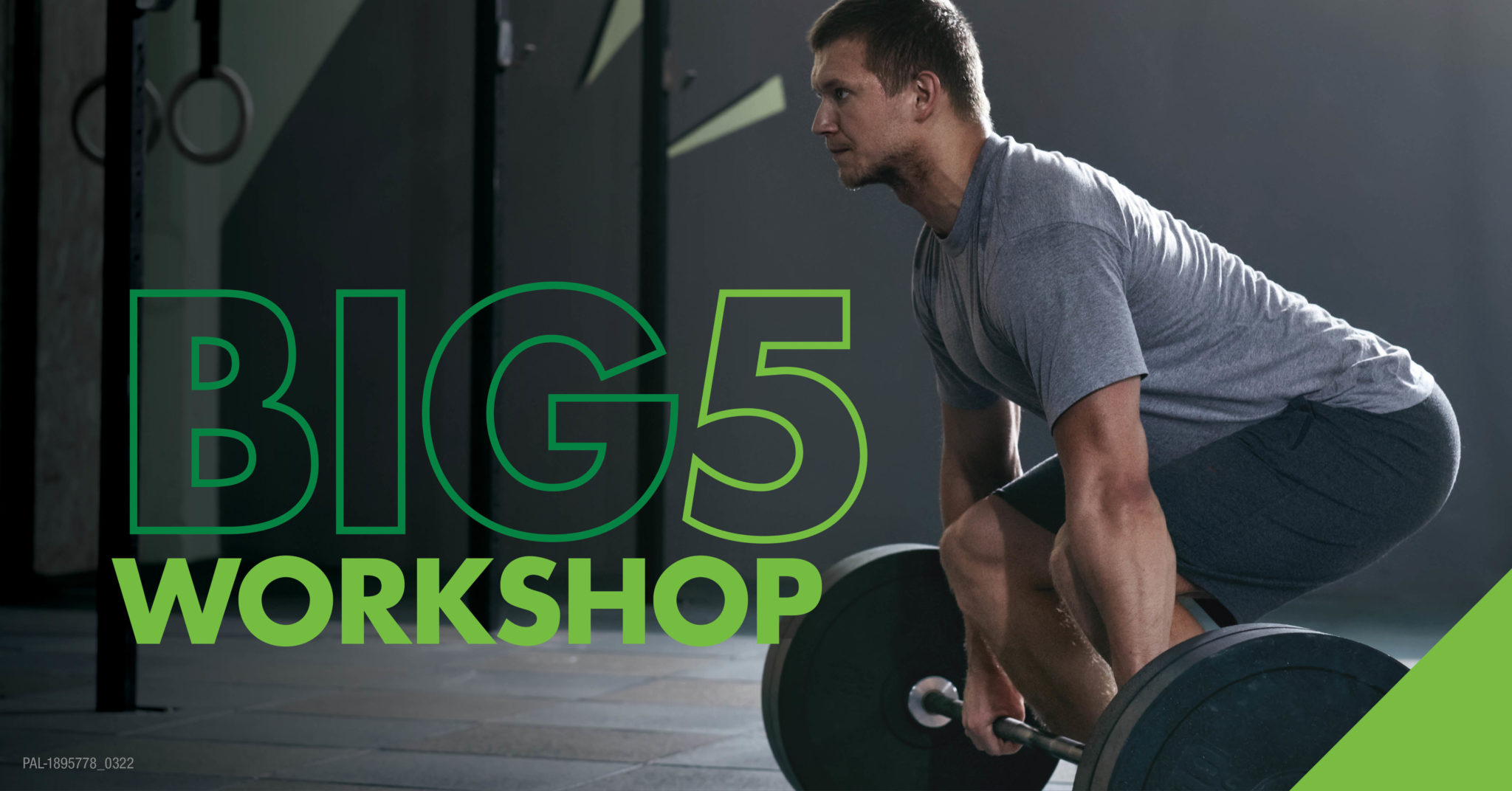 Big 5 Workshop